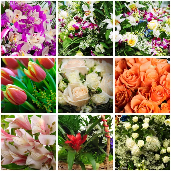 Collage fiori — Foto Stock