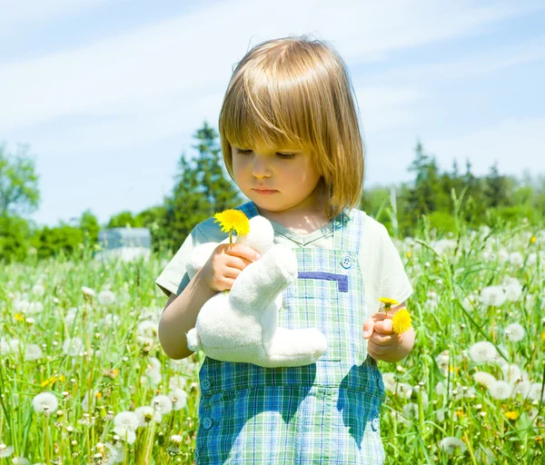 Niño en el prado — Foto de Stock