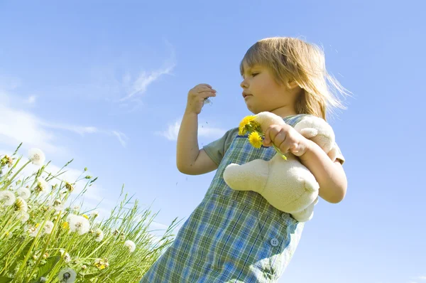 Child on meadow — Stock Photo, Image