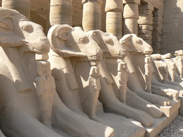Antike Statuen in einem Ägypten — Stockfoto