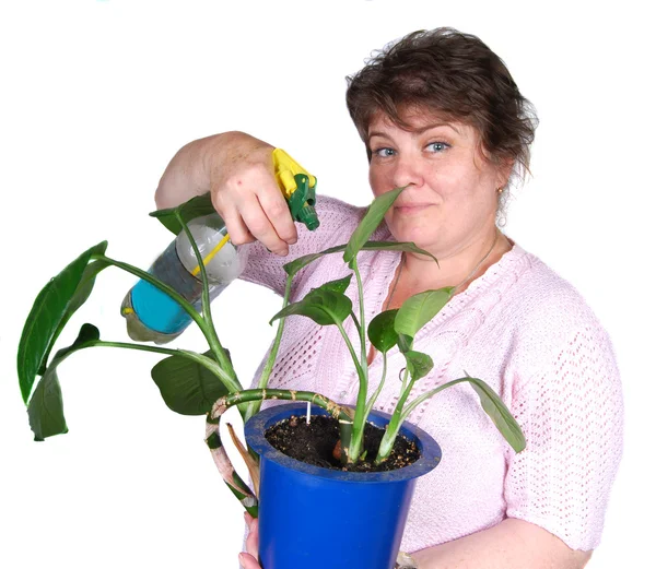 Žena hnojení květin — Stock fotografie