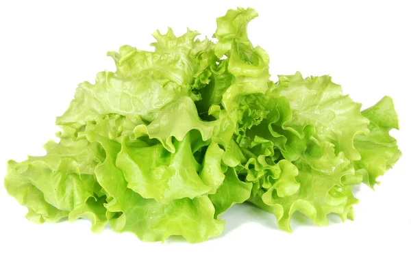 Zieloną sałatą — Zdjęcie stockowe