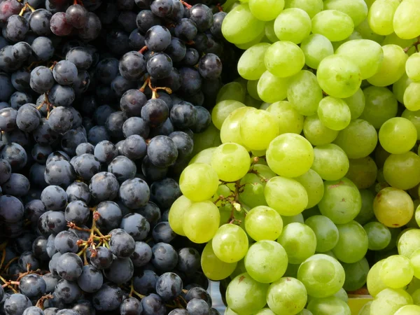 Grapes Stock Picture