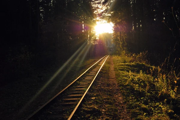 Podzimní železnice — Stock fotografie