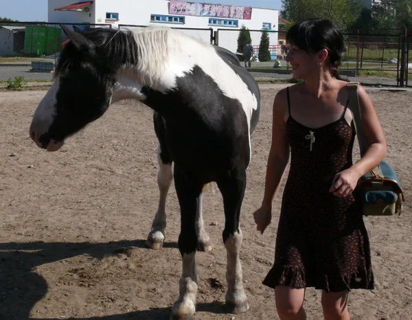 Chica con caballo —  Fotos de Stock