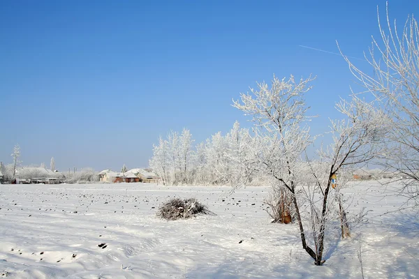 Красота! Зимние пейзажи природного парка «Хан-Тенири». Фото