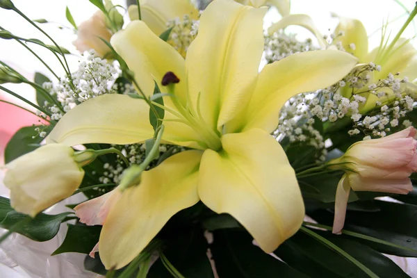 Stock image Yellow flower