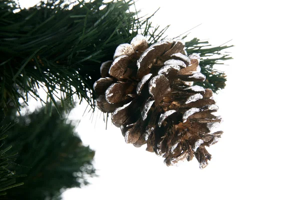 Χριστουγεννιάτικο δέντρο με κώνο που απομονώνονται σε whi — Φωτογραφία Αρχείου