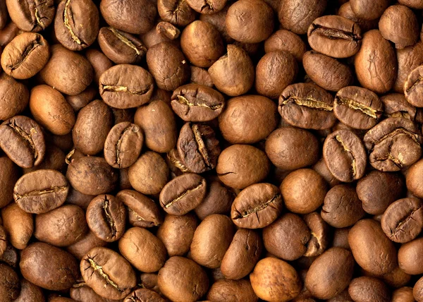 stock image Grain coffee