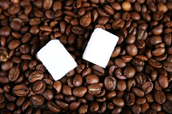 Grain coffee — Stock Photo, Image