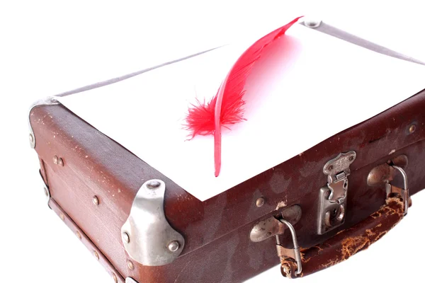 Penna rossa antica e valigia — Foto Stock