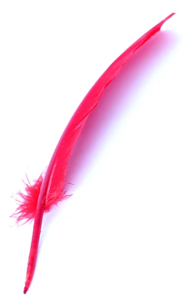 Penna rossa antica isolata su bianco — Foto Stock