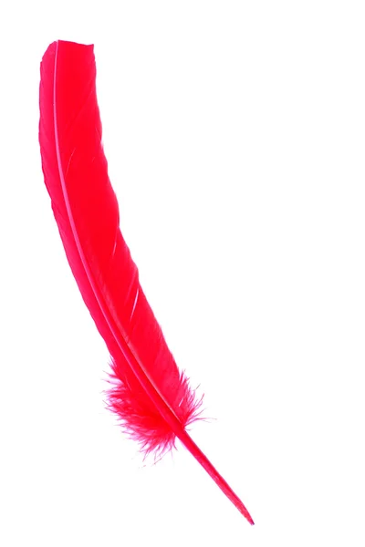 Antik röd penna isolerad på vit — Stockfoto