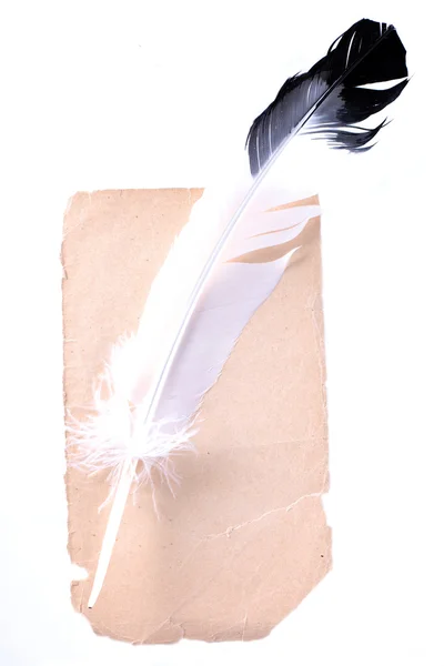Penna antica a vecchia carta isolata su whi — Foto Stock