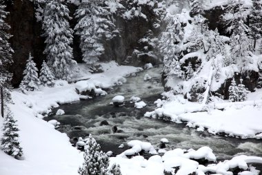 Winter season in Yellowstone National Pa clipart