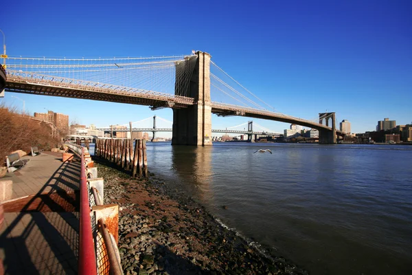 Klasická ny - Brooklynský most, pohled na — Stock fotografie