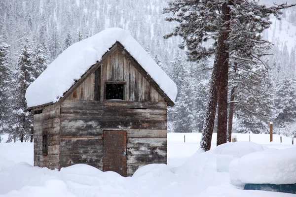 Зима в сельской местности — стоковое фото