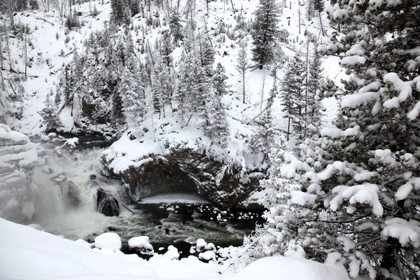 Зимний сезон у водопада Йеллоустон На — стоковое фото