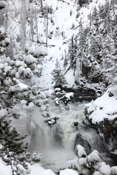 Winterseizoen bij watervallen van yellowstone nb — Stockfoto