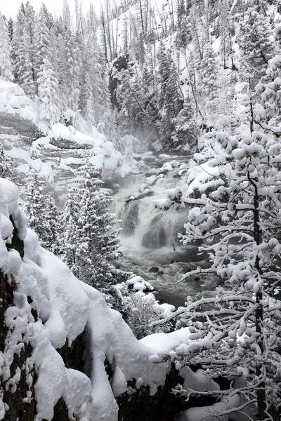 Cascata ghiacciata sotto la nevicata, Montana, USA — Foto Stock