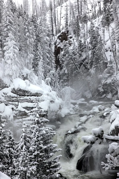 Stagione invernale alle cascate di Yellowstone Na — Foto Stock