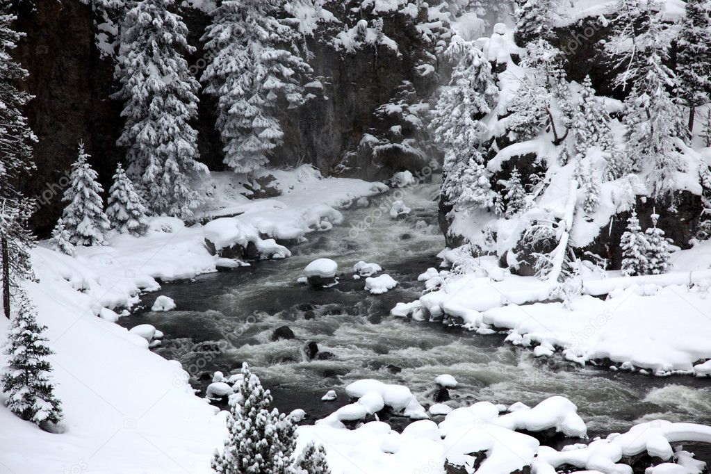 Winter season in Yellowstone National Pa