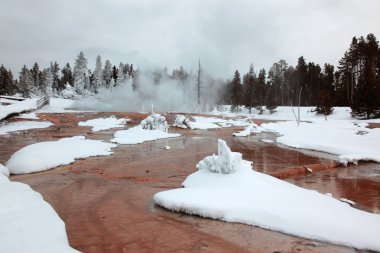 Winter season in Yellowstone National Pa clipart