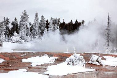 Winter season in Yellowstone National Pa clipart