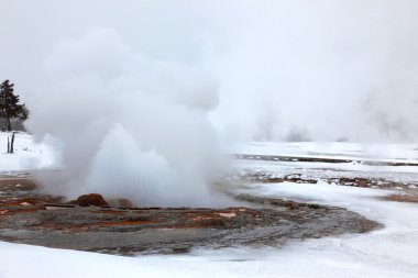 Hot Yellowstone geysers in cold winter clipart