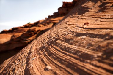 Rock formations and Colorado river in Gl clipart