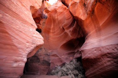 Kanyon antilop, arizona, ABD