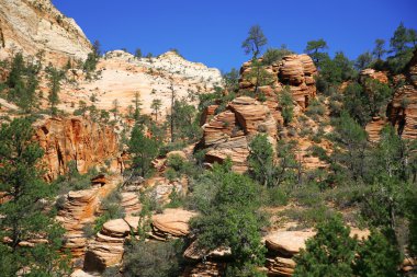 Zion National Park, Utah, USA clipart