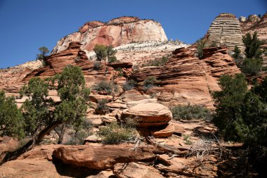 Zion Ulusal Parkı, Utah, ABD