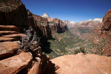 Zion National Park, Utah clipart