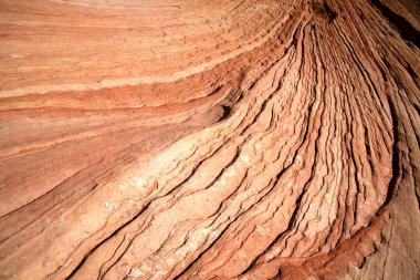 Wave - rock formations in Zion National clipart