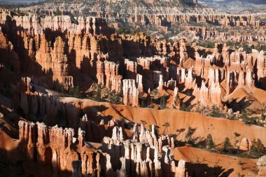 Bryce Canyon Hoodoos at sunrise, Utah, USA