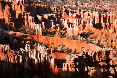 Bryce Canyon Hoodoos at sunrise, Utah, USA