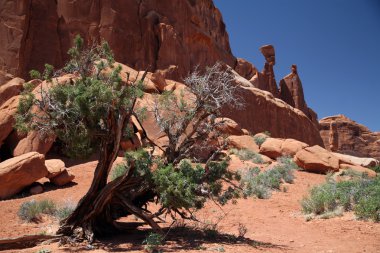 Arches Ulusal Parkı Utah, ABD