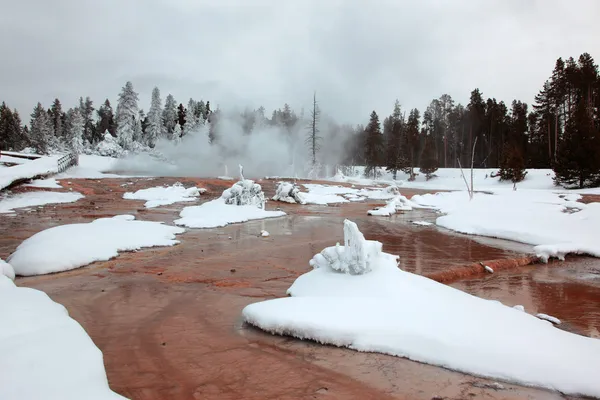 Stagione invernale a Yellowstone National Pa — Foto Stock