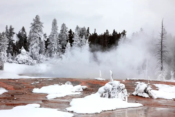 Stagione invernale a Yellowstone National Pa — Foto Stock
