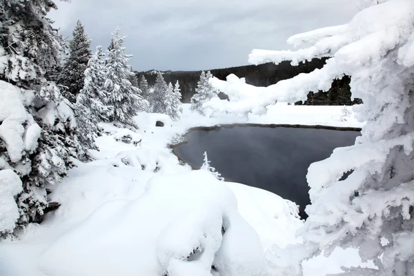 옐로스톤 호수 nat에서 겨울 시즌 — 스톡 사진