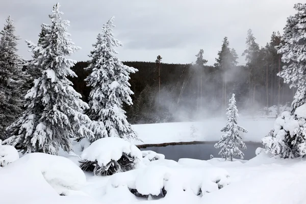 Winter season at lake of Yellowstone Nat — стокове фото