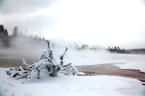 Winter season at lake of Yellowstone Nat — Stockfoto