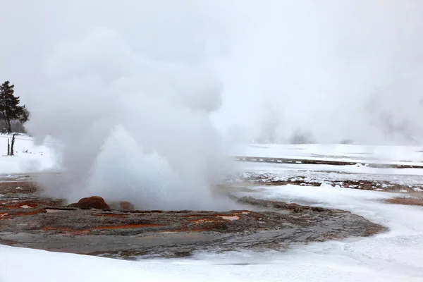 Geysers Yellowstone quentes no inverno frio — Fotografia de Stock