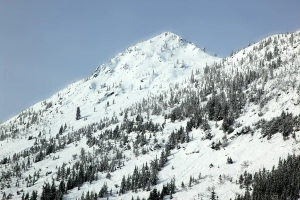 Karlı dağ, mountan kış sezonunda — Stok fotoğraf