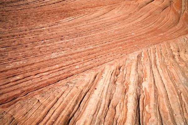 Vague - formations rocheuses à Zion National — Photo