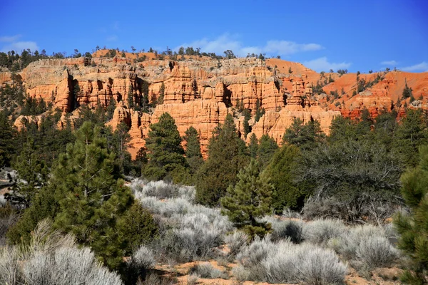 Bryce canyon, Utah, USA — Stock Photo, Image