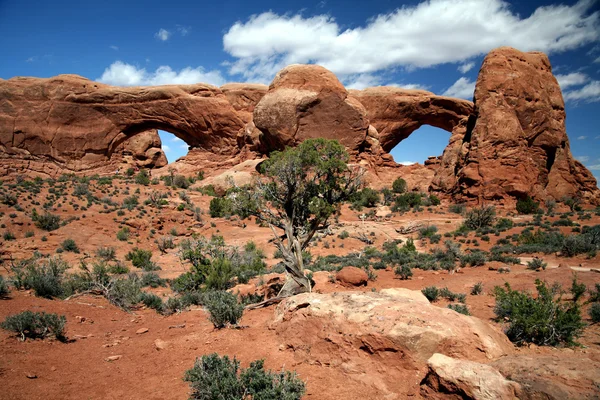 Windows, národním parku arches v Utahu, — Stock fotografie