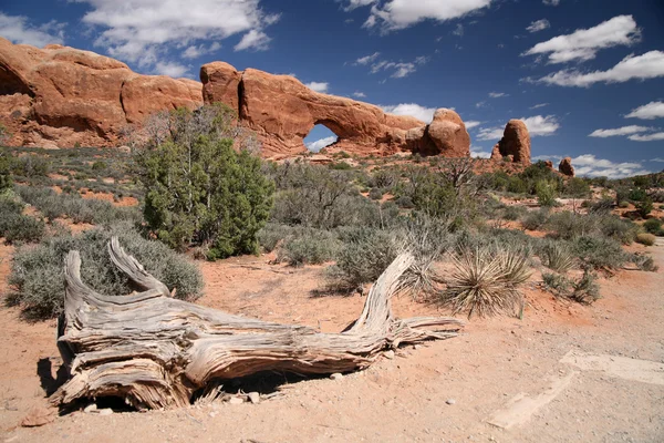 Windows in Arches National Park — Stock Photo, Image
