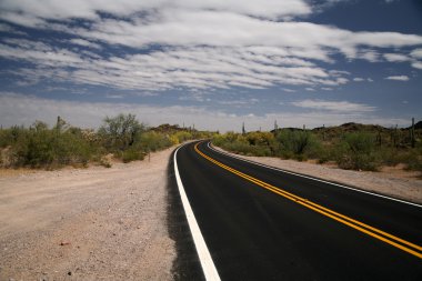 Road in the Organ Pipe National Monument clipart